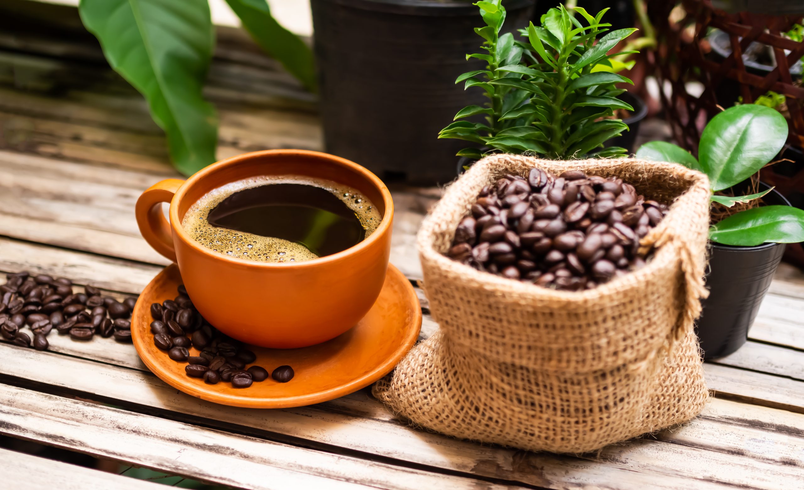 Hot Black Coffee in white cup with coffee beans in hemp sack on wooden table background. espresso flavor aroma in glass. drink for breakfast in cafe. caffeine food in morning.